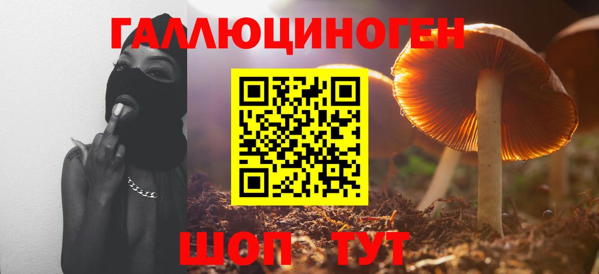 А ПВП Шелехов